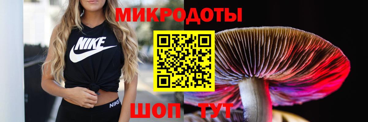 Муром  Псилоцибиновые грибы Psilocybe  Вход с VPN  Галлюциногенные грибы Psilocybine cubensis 